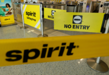 Google buys Spirit Airlines data for AI training for just $10 million — purchase includes hundreds of millions of emails, Microsoft Teams chats, billions of flight pricing records, and anonymized passenger records