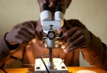 NRF plots bespoke funding routes for R&D-lagging universities