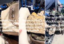 Three Coach bags for $70? Thrift haul shows why shoppers keep combing the racks