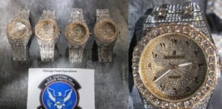 Louisville CBP seizes more than $1.25B in fake luxury watches over two-month period
