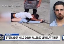 Bystander tackles Brickell jewelry thief after being pepper-sprayed, cops say