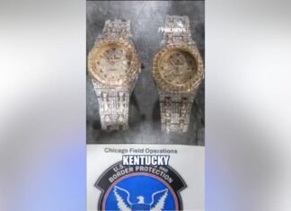 CBP seizes $43 MILLION in counterfeit watches